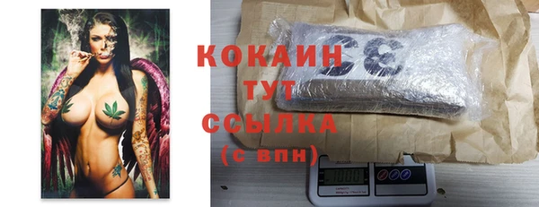 дживик Протвино