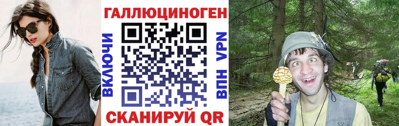 мега как зайти  Абаза  Псилоцибиновые грибы мицелий 