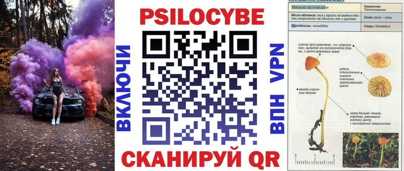 Псилоцибиновые грибы мицелий Абаза